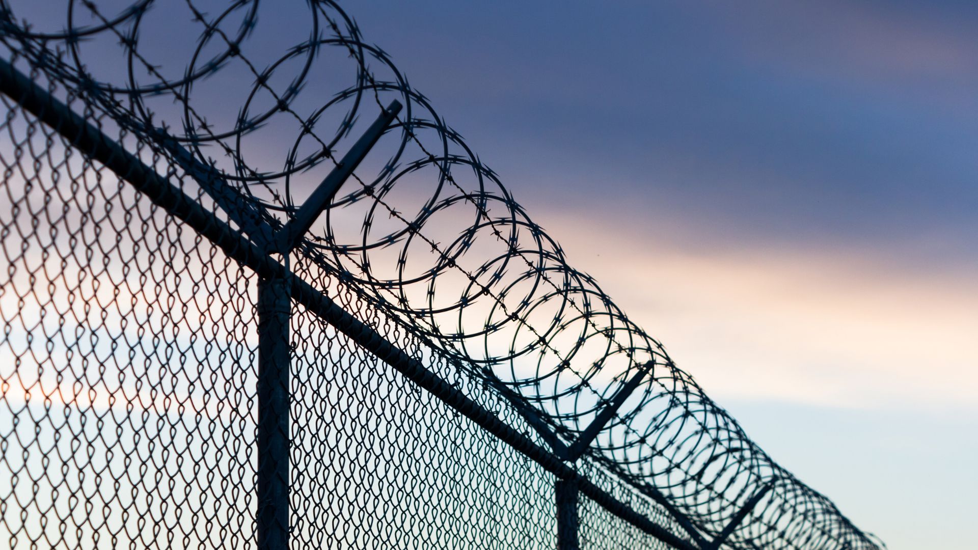 Barbed wire fence with coiled razor wire against a twilight sky