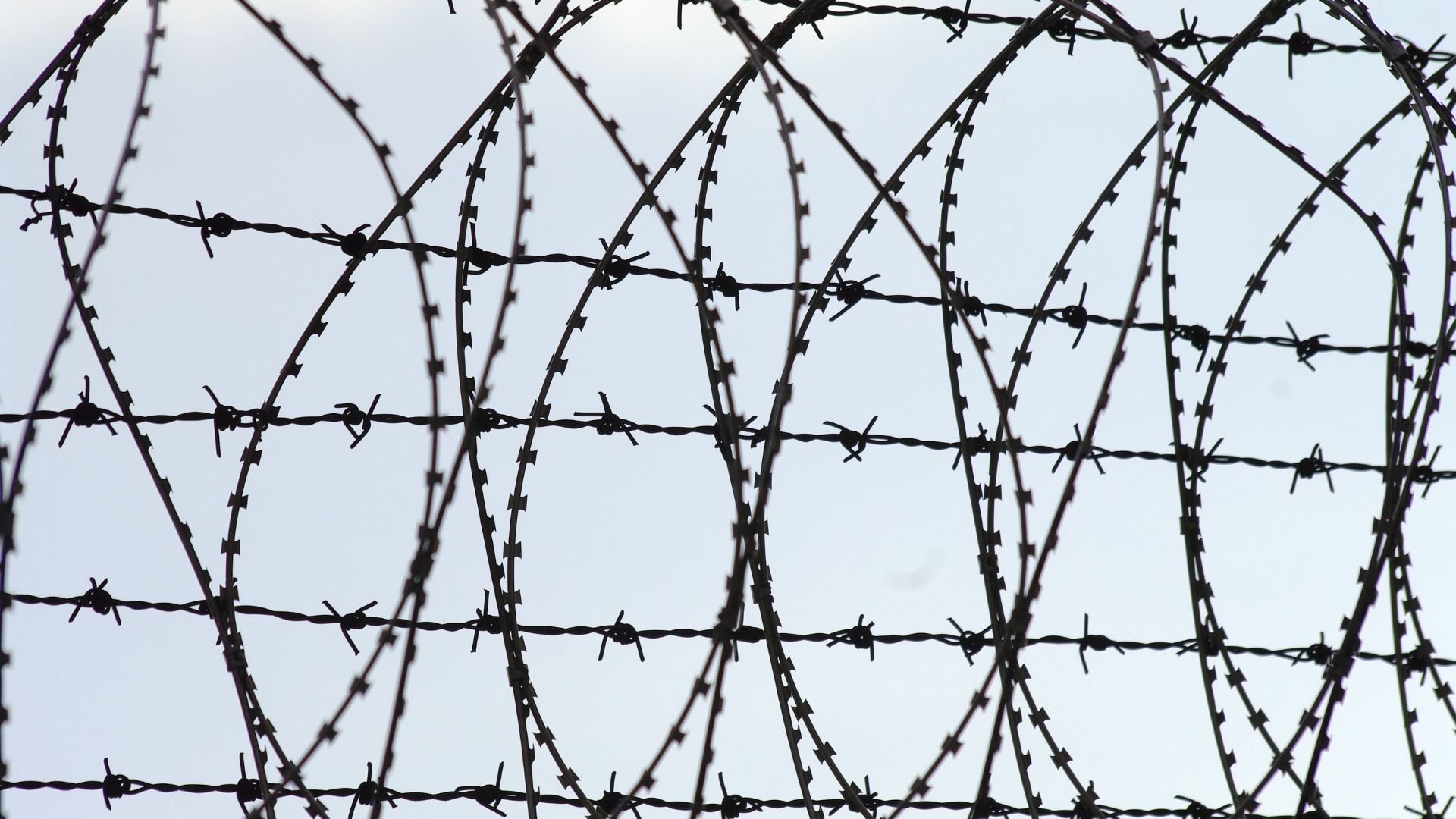 Tangled barbed wire coils creating a dense, sharp barrier against a pale sky