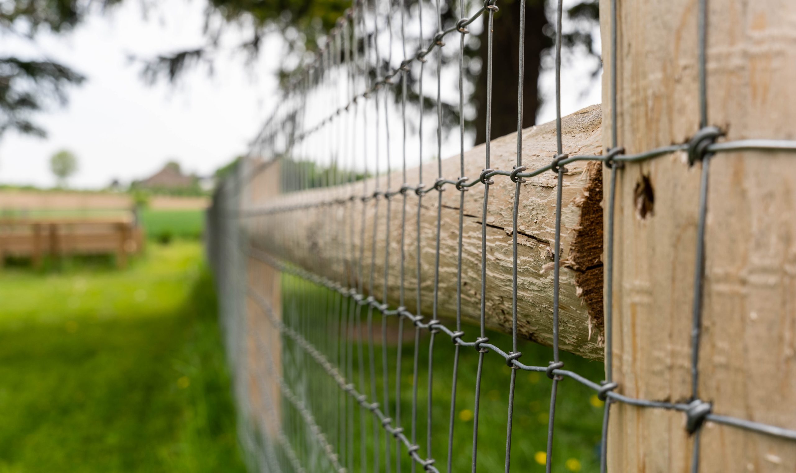 Wire mesh fence with wooden posts in a green grassy field