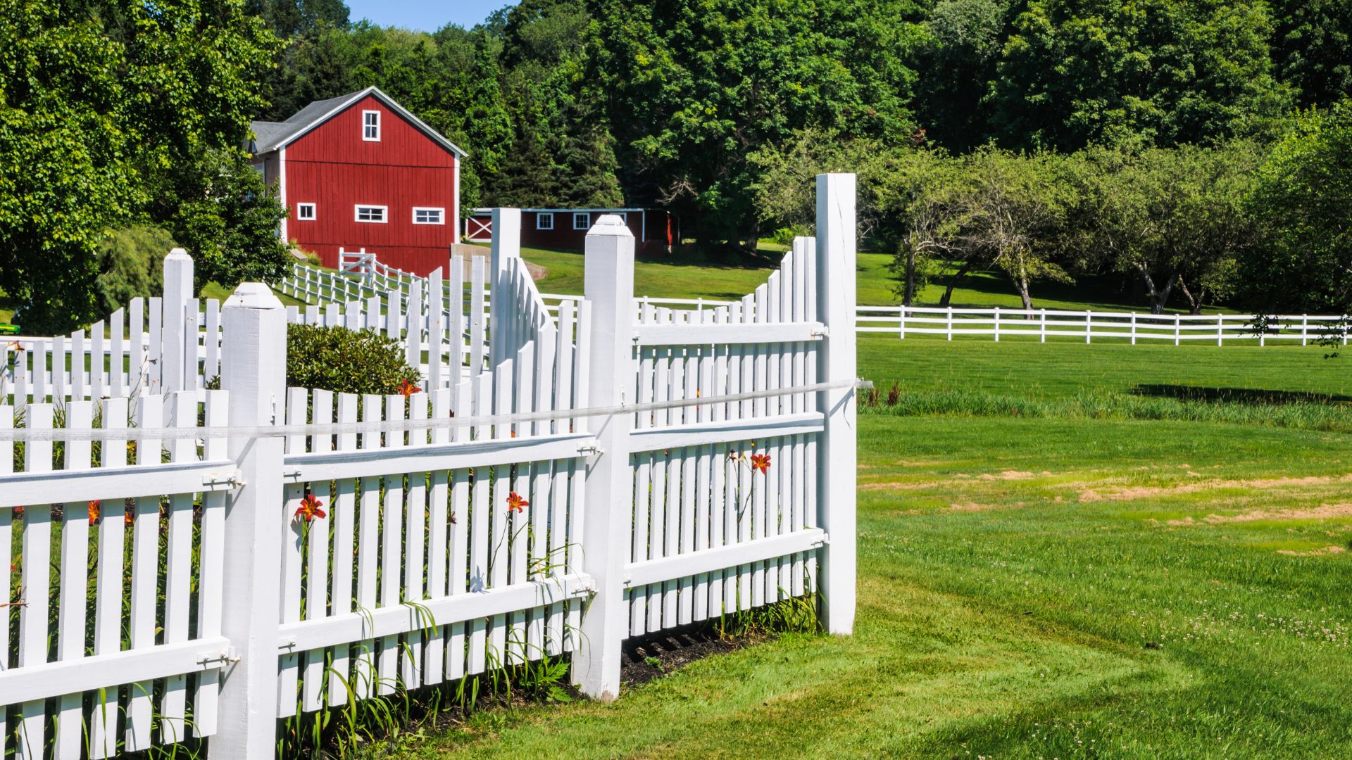 Red barn behind white picket fence on lush green farmland