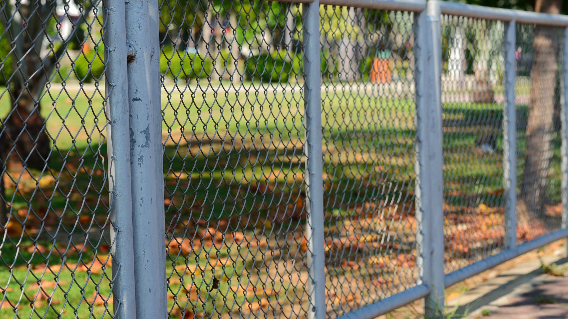 Blue chain-link fence with blurred garden background in soft focus