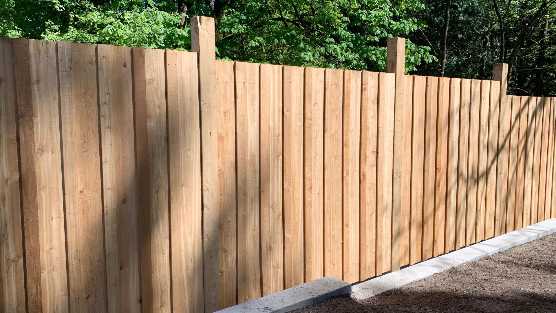 Wooden fence with vertical planks installed alongside green forest backdrop