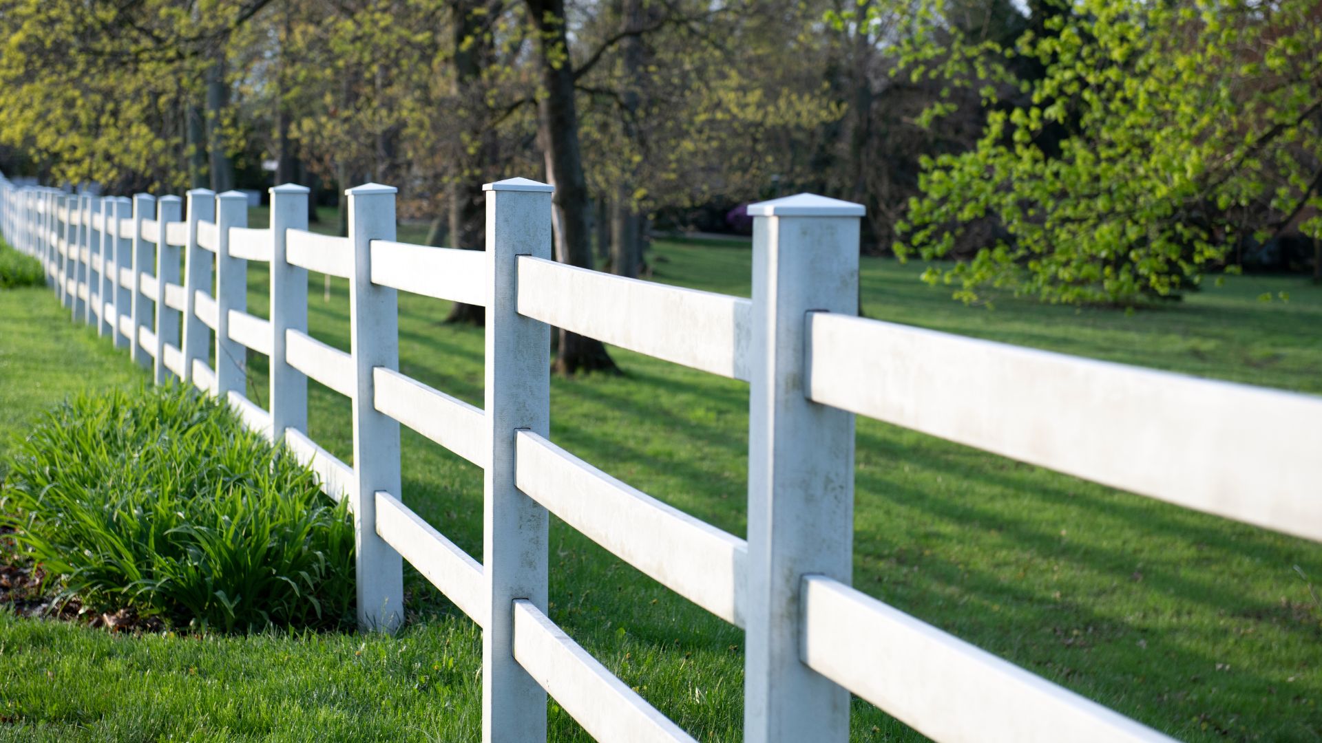 White wooden fence bordering green lawn with trees in background