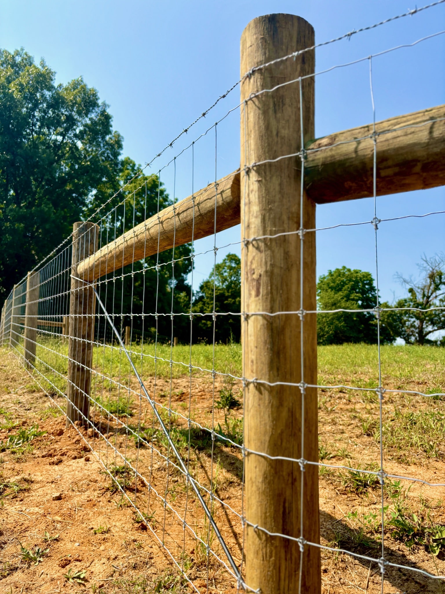 Wooden fence posts with wire mesh and barbed wire in rural field