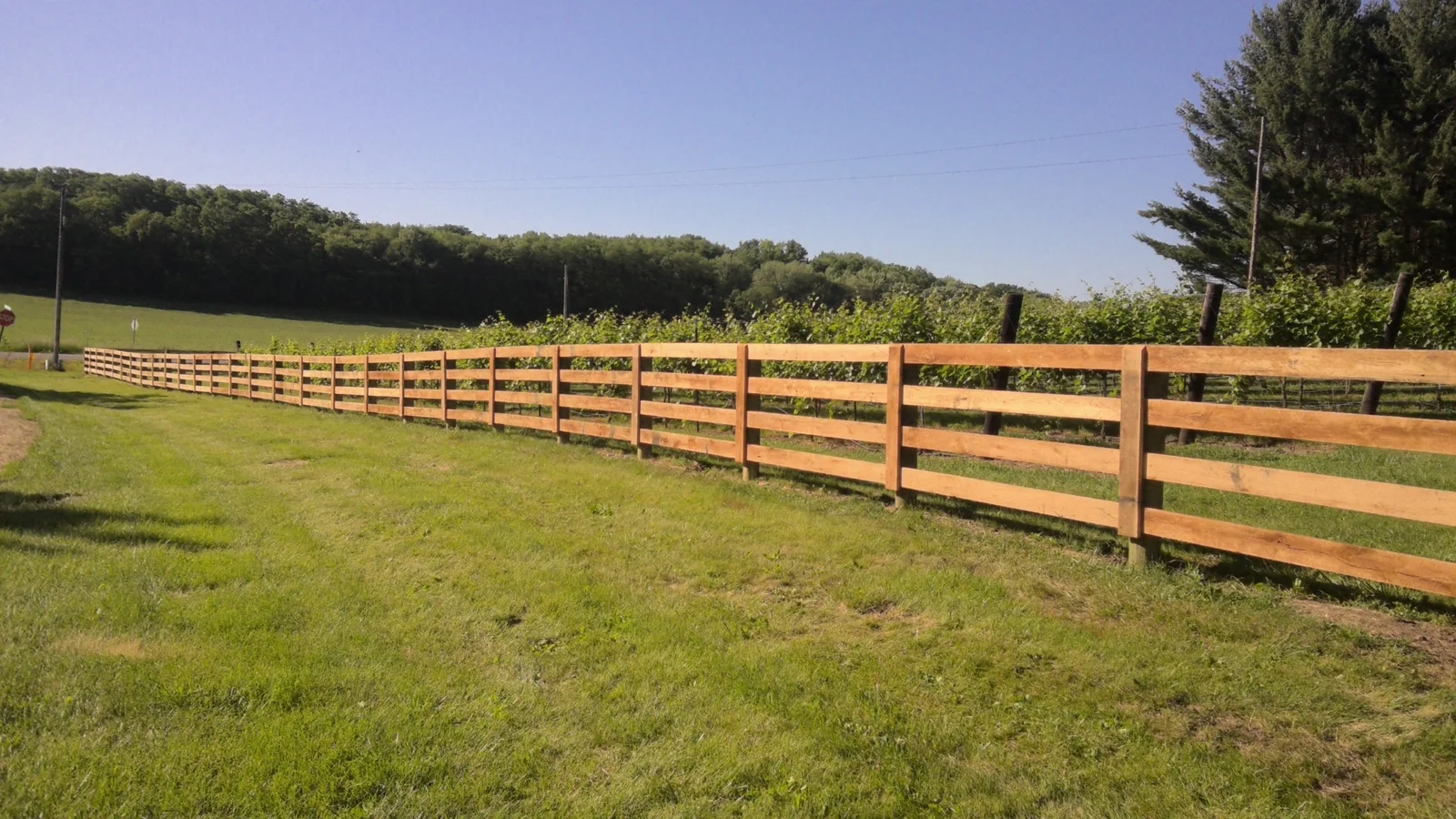 Wooden fence bordering green field with trees and blue sky background