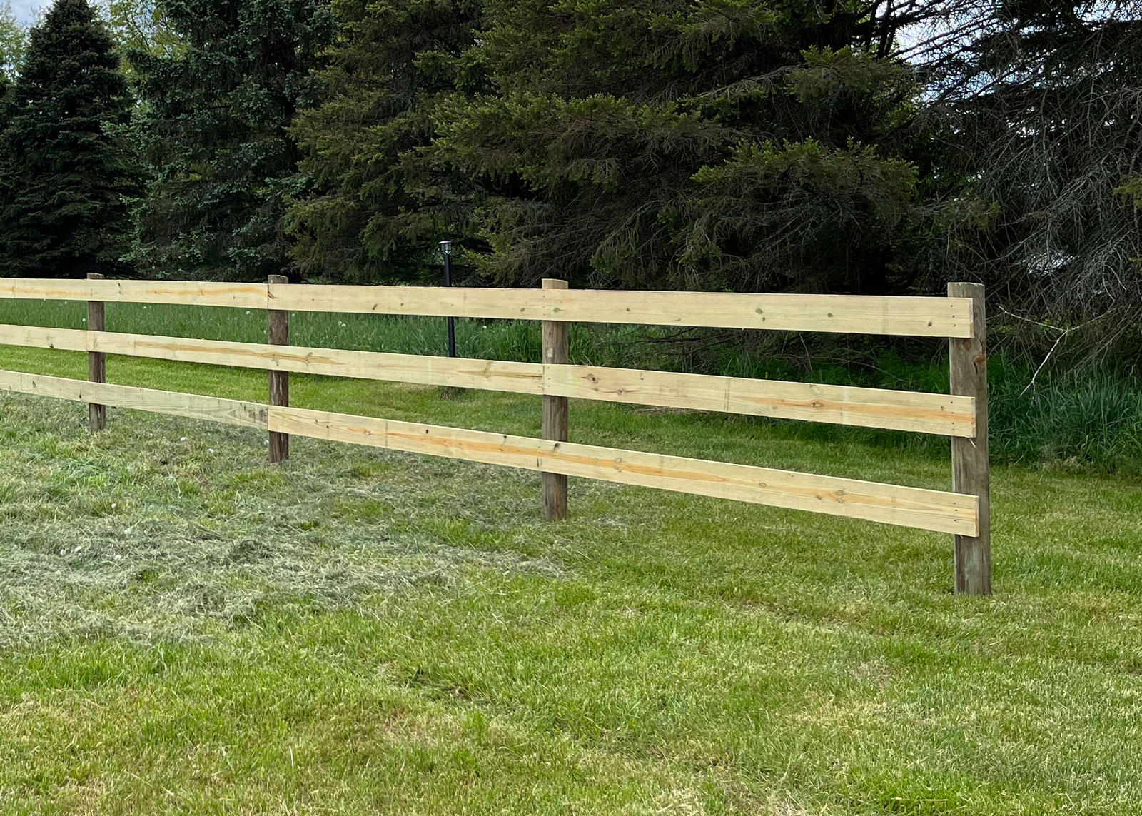 Wooden fence with horizontal planks on grassy field near evergreen trees