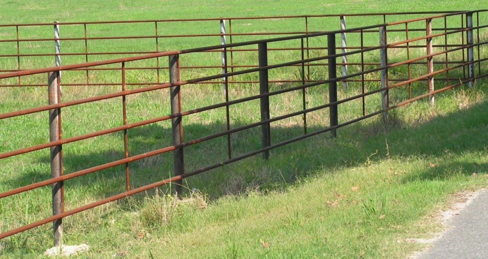 Rusty metal fence along grassy field with wooden posts