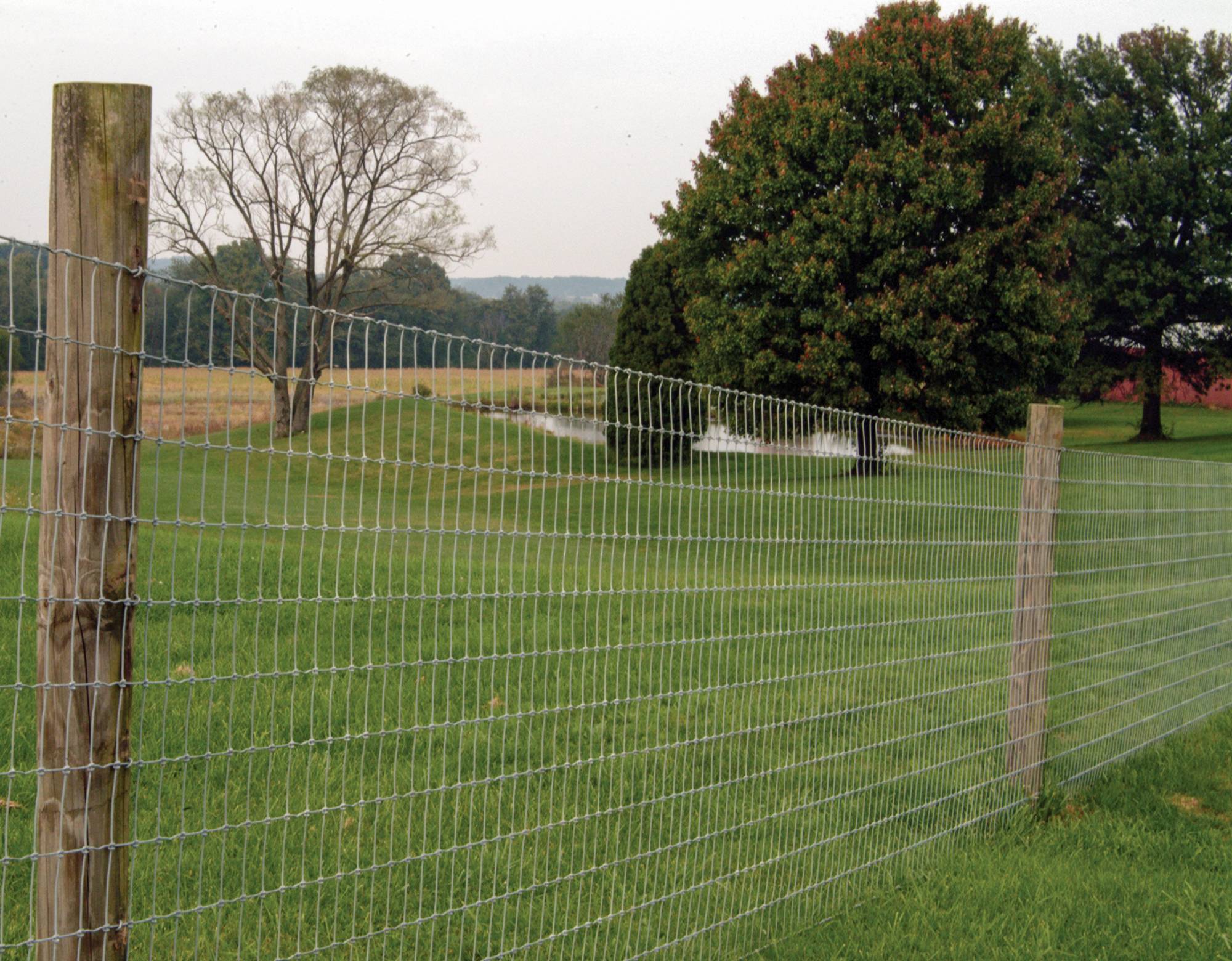 Wire fence stretching across green pasture with trees in background