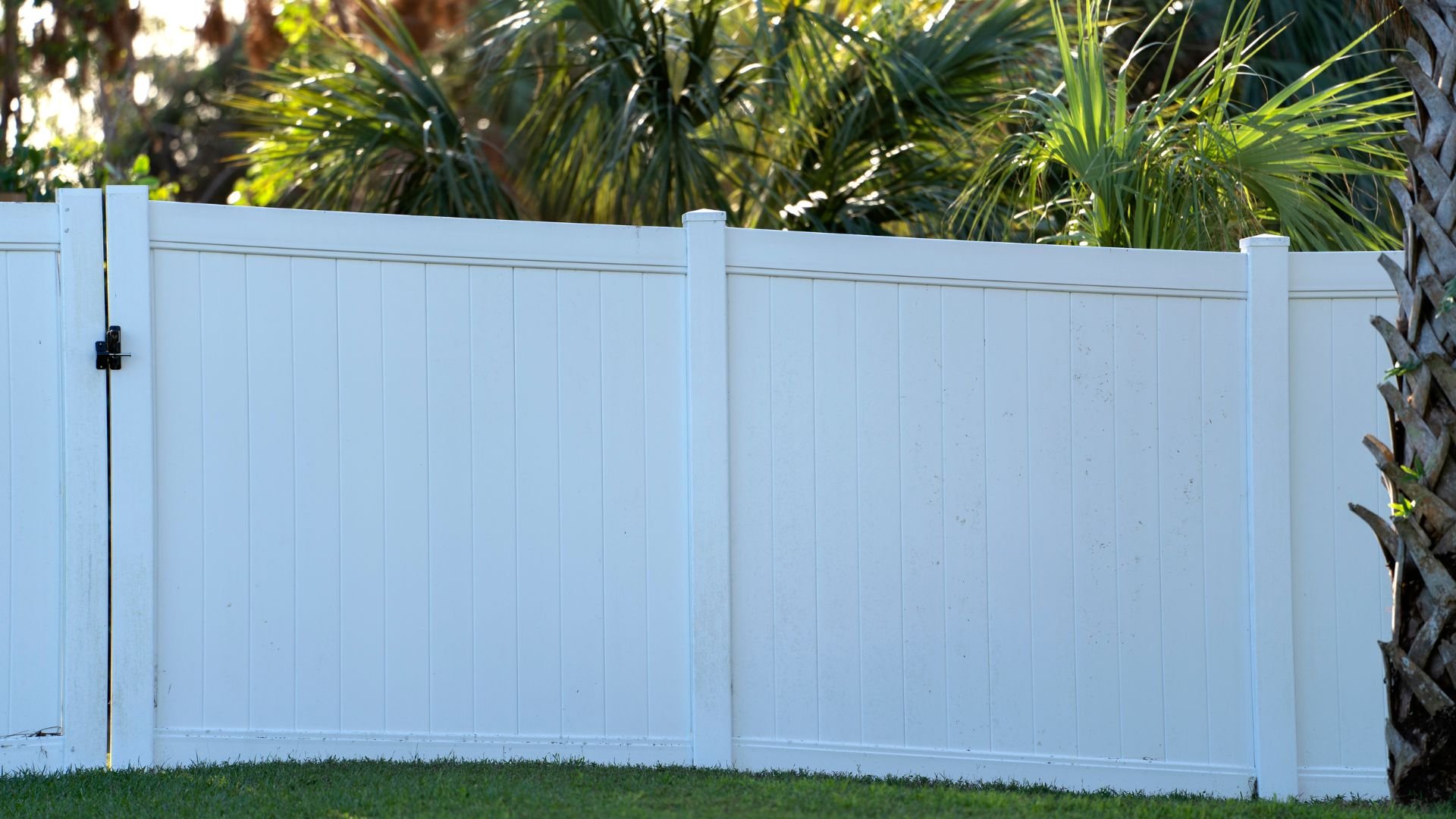 White vinyl fence with palm trees in background on green lawn