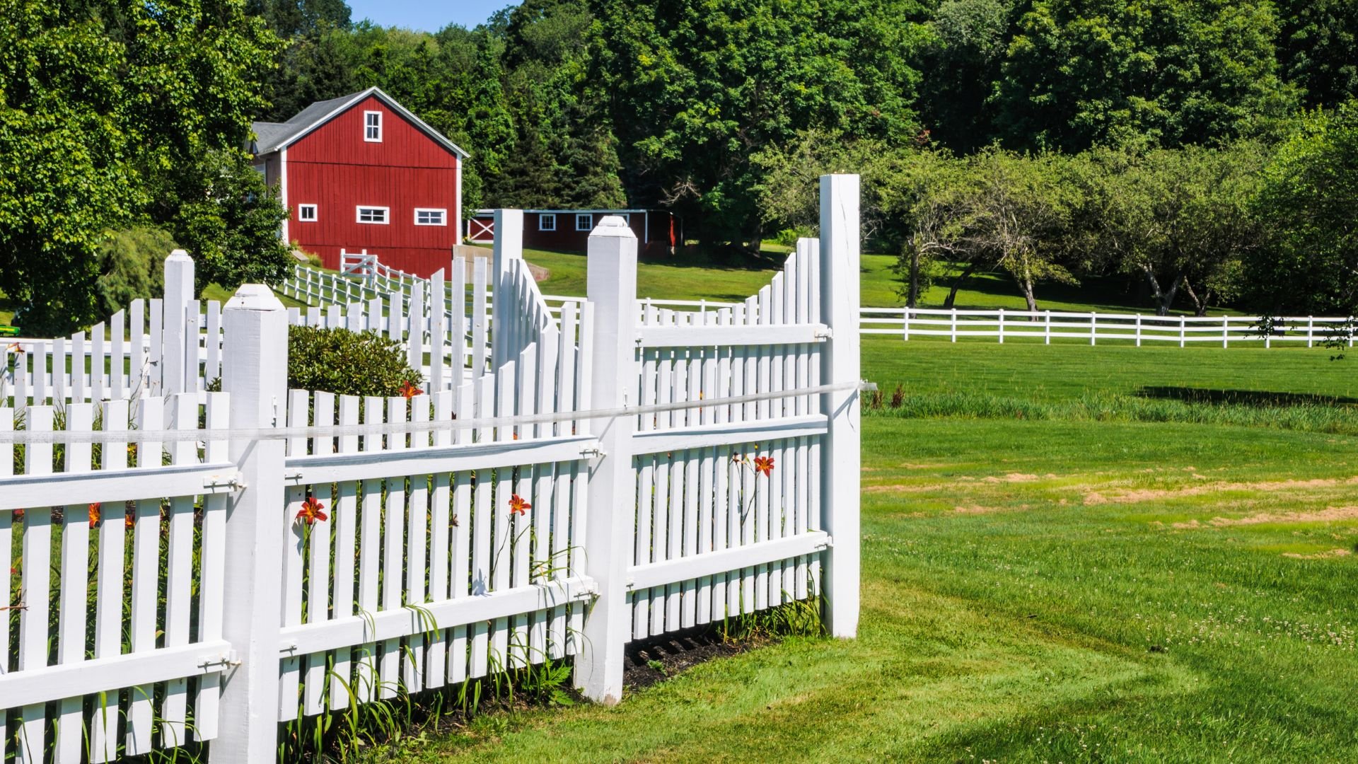Red barn behind white picket fence on lush green countryside property